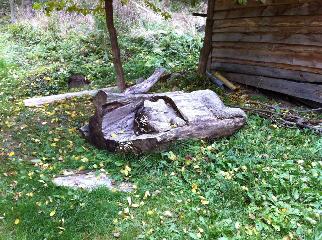 Chata Devena Valča الغرفة الصورة
